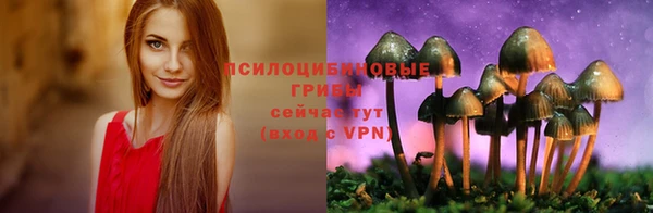 тгк Алексин