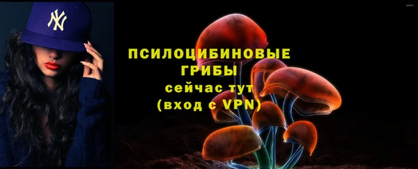 бошки Алзамай