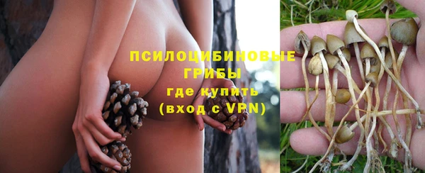 бошки Алзамай