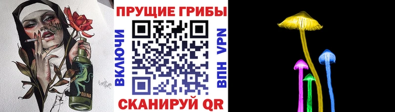 блэк спрут маркетплейс Заволжск Галлюциногенные грибы Psilocybe что такое